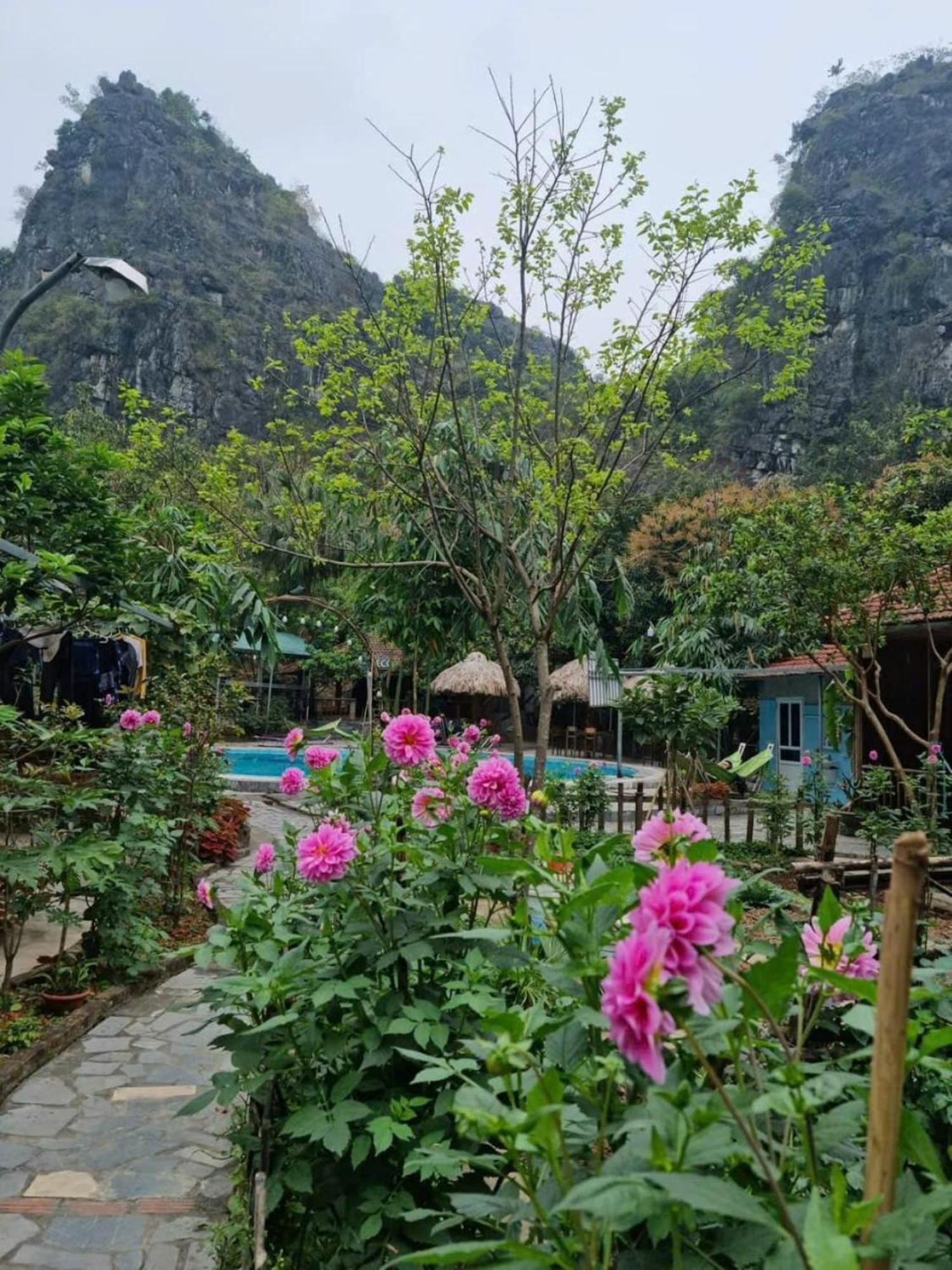 Hoalu Backpacker Homestay Ninh Bình Extérieur photo